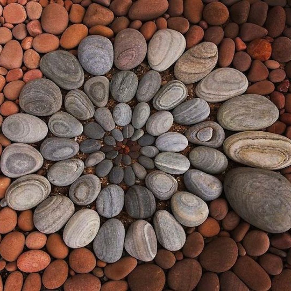 78db80ba8f6c7e3a0b601b85a1d05fa7