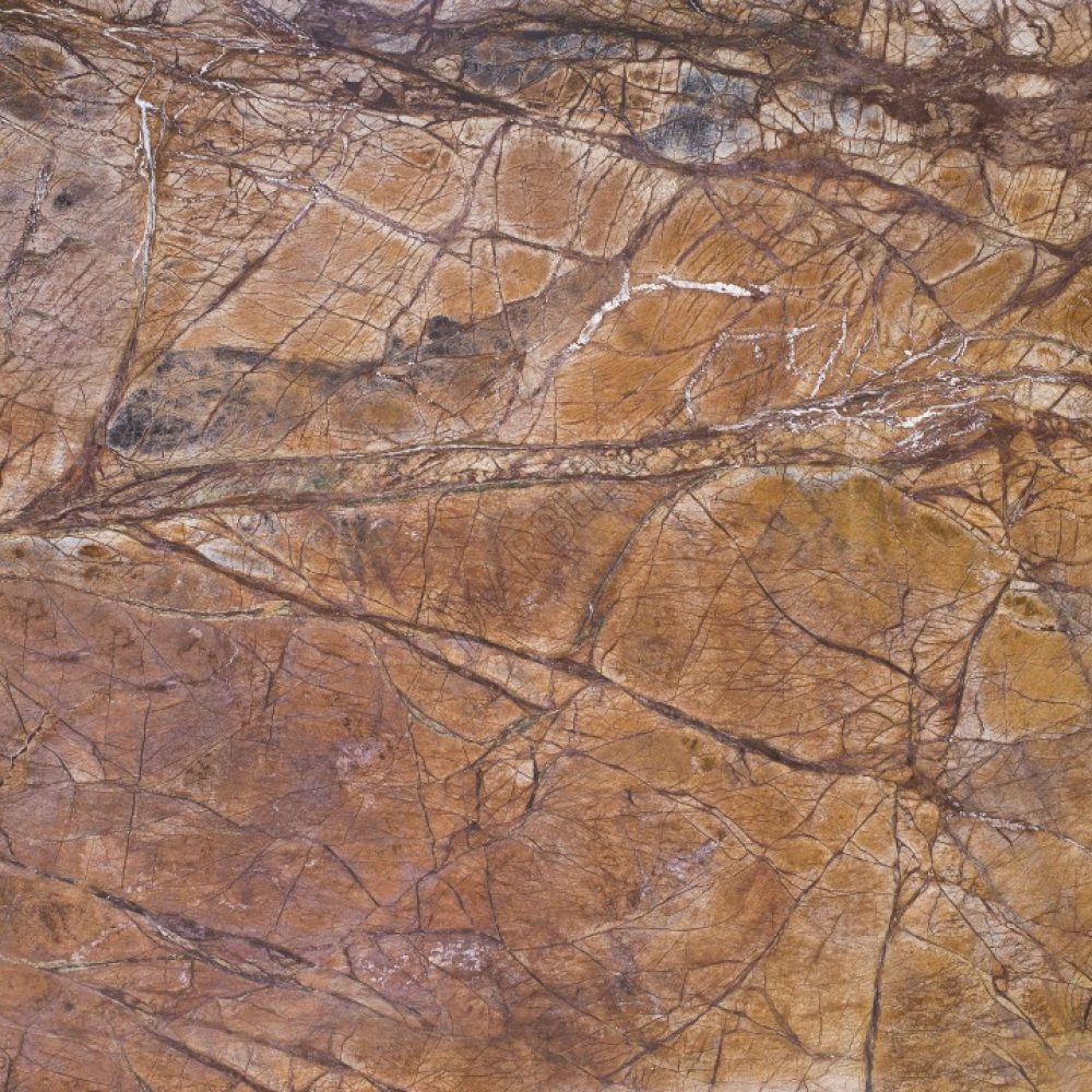 marble_Rainforest-Brown_luVLFIG0czZQujUQa5vZ