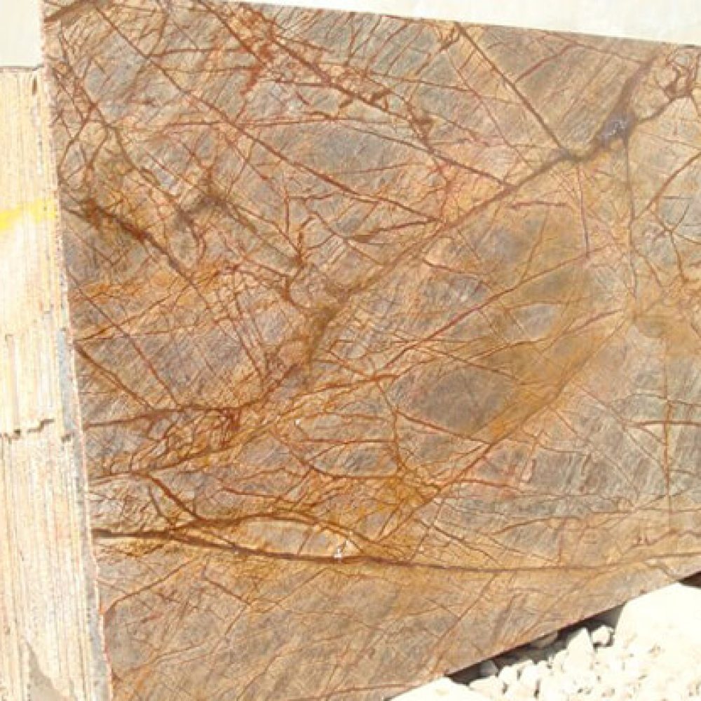 rainforest-brown-03-555x415