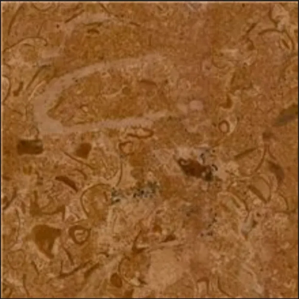 screenshot-from-2020-08-20-02-46-41-1000x1000